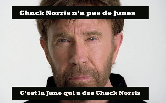 chuck_norris1