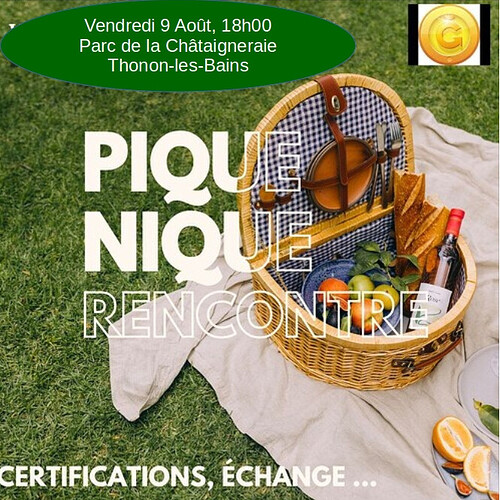 8743b78adc4f703aa6ab10369acfa769fc204405_2_500x500Thonon