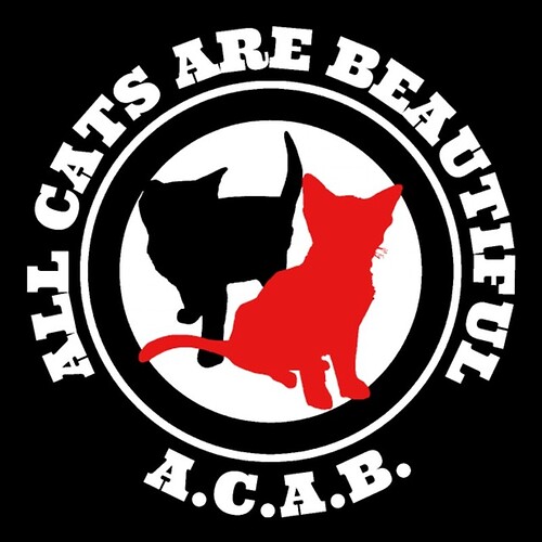 ACAB cats