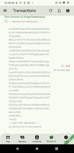 Screenshot_20260119-123809_Ginkgo