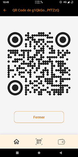 Screenshot_20251121-104949_Ğecko