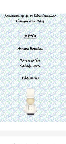 IMG_20251108_152926_923