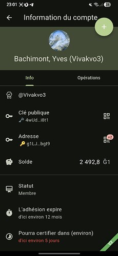 Screenshot_20260115_230123_Ginkgo-test